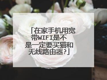 在家手机用宽带WIFI是不是一定要买猫和无线路由器?