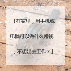 在家里,用手机或电脑可以做什么赚钱,不想出去工作?