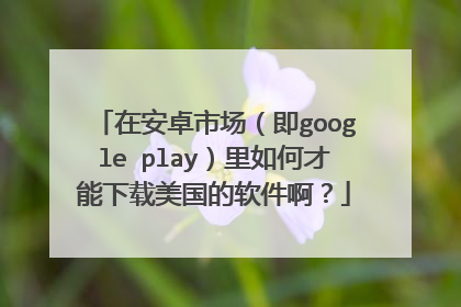 在安卓市场(即google play)里如何才能下载美国的软件啊?