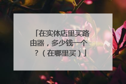 在实体店里买路由器，多少钱一个？（在哪里买）