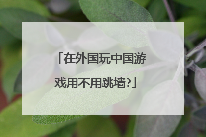 在外国玩中国游戏用不用跳墙?
