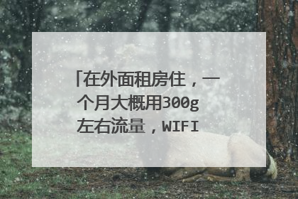 在外面租房住,一个月大概用300g左右流量,WIFI你们是怎么弄的?