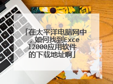 在太平洋电脑网中,如何找到Excel2000应用软件的下载地址啊