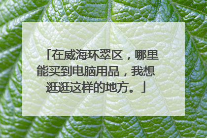 在威海环翠区,哪里能买到电脑用品,我想逛逛这样的地方。