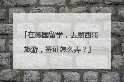 在德国留学，去墨西哥旅游，签证怎么弄？