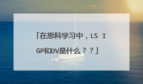 在思科学习中,LS IGP和DV是什么??