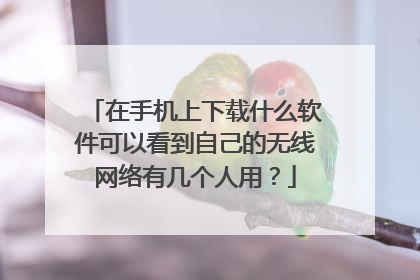 在手机上下载什么软件可以看到自己的无线网络有几个人用？