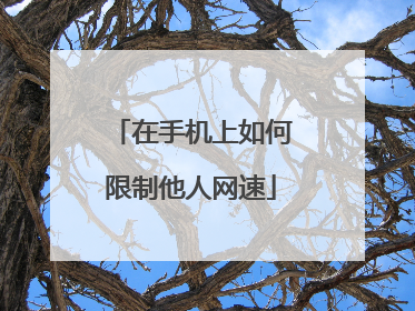 在手机上如何限制他人网速