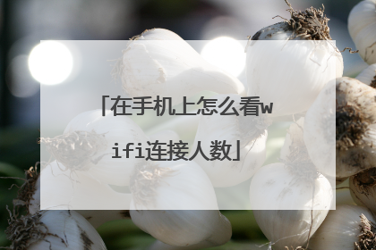 在手机上怎么看wifi连接人数