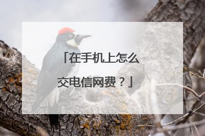 在手机上怎么交电信网费?
