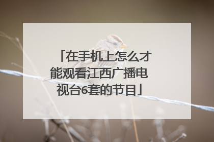 在手机上怎么才能观看江西广播电视台6套的节目
