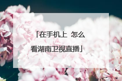 在手机上 怎么看湖南卫视直播