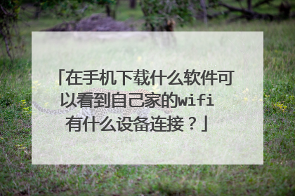 在手机下载什么软件可以看到自己家的wifi有什么设备连接？
