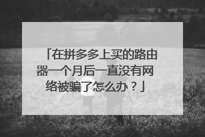 在拼多多上买的路由器一个月后一直没有网络被骗了怎么办？