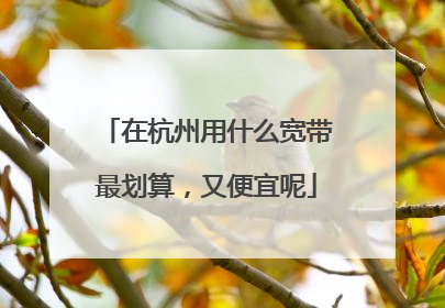 在杭州用什么宽带最划算，又便宜呢