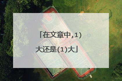 在文章中,1)大还是(1)大