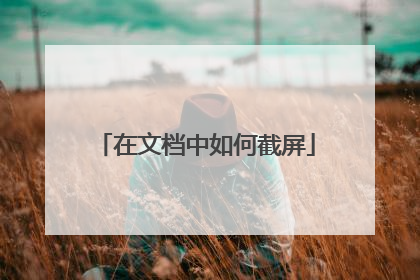 在文档中如何截屏