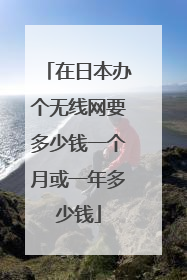 在日本办个无线网要多少钱一个月或一年多少钱