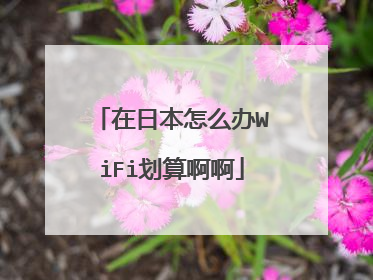 在日本怎么办WiFi划算啊啊
