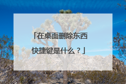 在桌面删除东西 快捷键是什么?