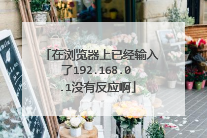 在浏览器上已经输入了192.168.0.1没有反应啊