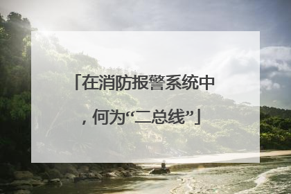 在消防报警系统中，何为“二总线”