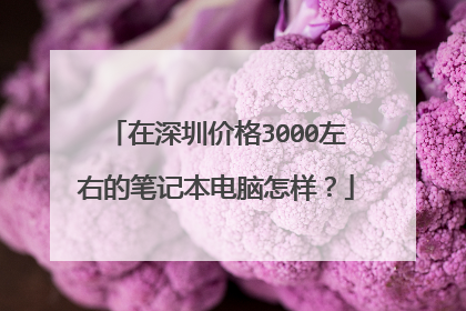 在深圳价格3000左右的笔记本电脑怎样?