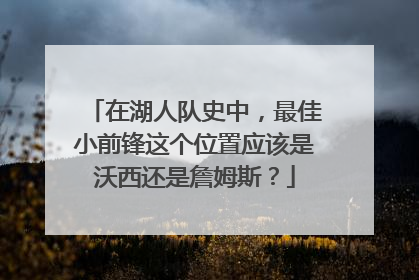 在湖人队史中,最佳小前锋这个位置应该是沃西还是詹姆斯?