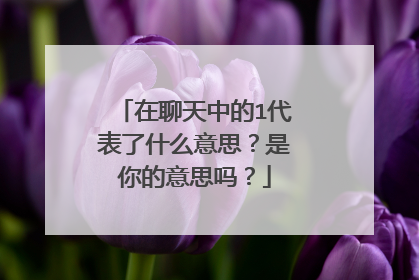 在聊天中的1代表了什么意思？是你的意思吗？