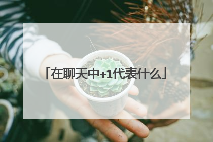 在聊天中+1代表什么