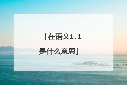 在语文1.1是什么意思