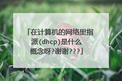 在计算机的网络里指派(dhcp)是什么概念呀?谢谢???