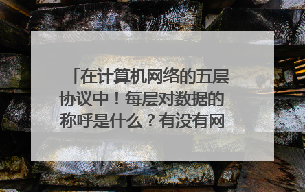 在计算机网络的五层协议中！每层对数据的称呼是什么？有没有网络大神啊！？