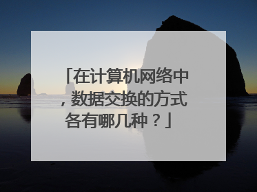 在计算机网络中,数据交换的方式各有哪几种?