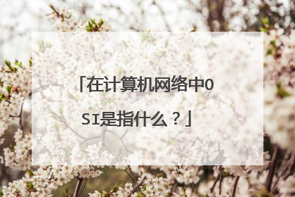 在计算机网络中OSI是指什么？