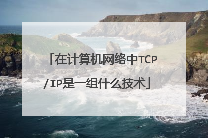 在计算机网络中TCP/IP是一组什么技术