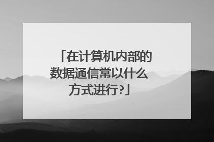 在计算机内部的数据通信常以什么方式进行?