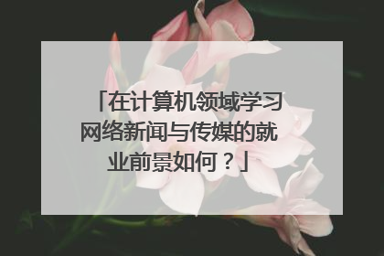 在计算机领域学习网络新闻与传媒的就业前景如何?