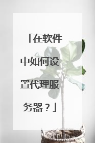 在软件中如何设置代理服务器？