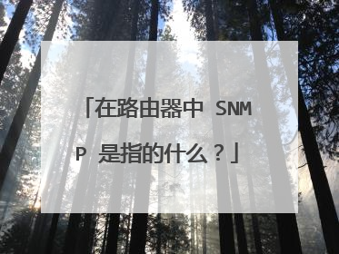 在路由器中 SNMP 是指的什么?