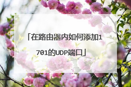在路由器内如何添加1701的UDP端口