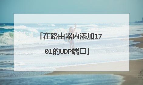 在路由器内添加1701的UDP端口