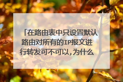 在路由表中只设置默认路由对所有的IP报文进行转发可不可以,为什么？。。。谢谢。