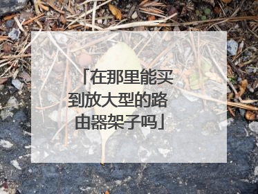 在那里能买到放大型的路由器架子吗