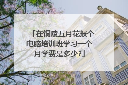 在铜陵五月花报个电脑培训班学习一个月学费是多少?