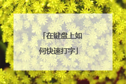 在键盘上如何快速打字