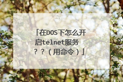 在DOS下怎么开启telnet服务？？（用命令）