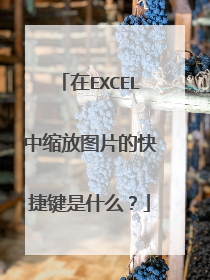 在EXCEL中缩放图片的快捷键是什么？