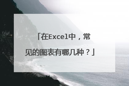 在Excel中,常见的图表有哪几种?