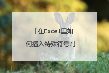 在Excel里如何插入特殊符号?